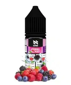 Berry Blast Saltnic - N One salt