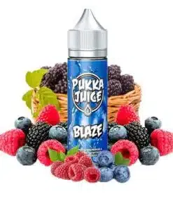 Pukka Juice - Blaze