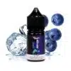 Blueberry Ice Saltnic - Western Juice