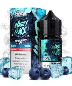 Blueberry Ice Salt - Nasty